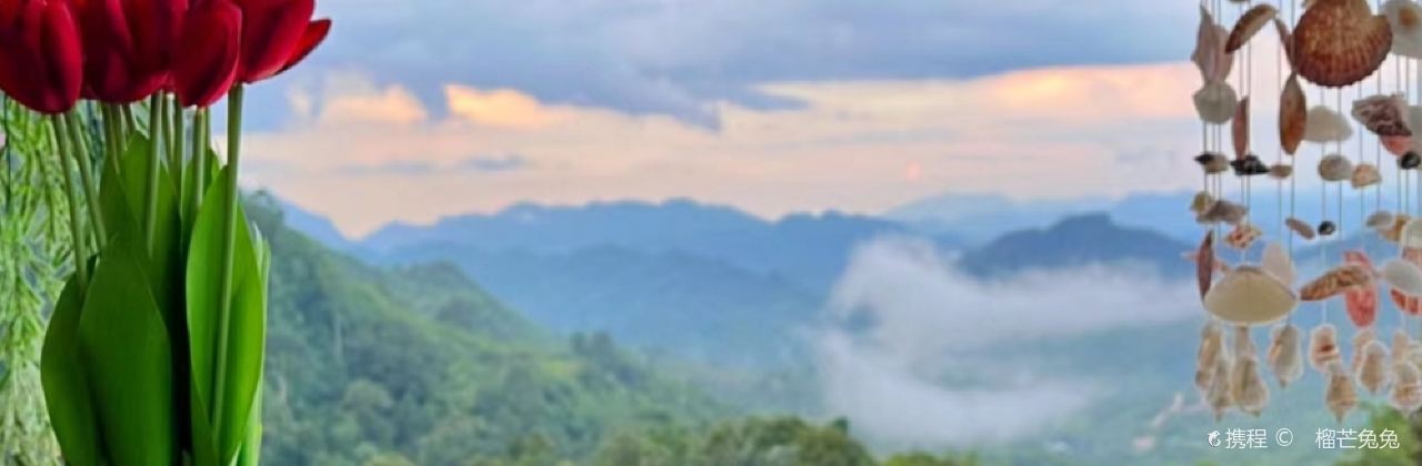 Hartz Chicken Buffet