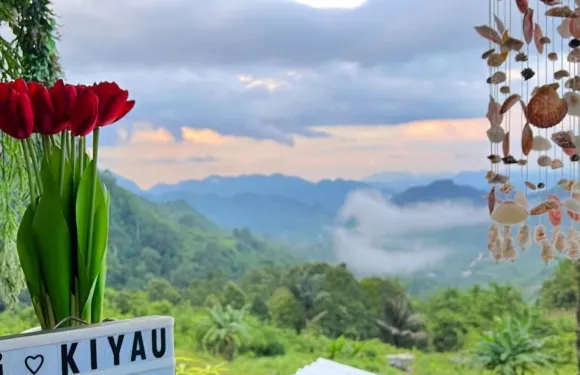 Hartz Chicken Buffet