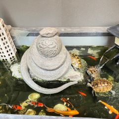 Oden otafuku User Photo