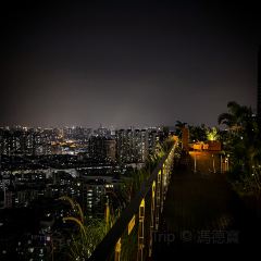 Roof Garden祕密花園張用戶圖片