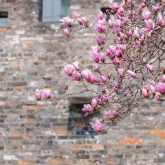 麥當勞（常州西瀛裡店）張用戶圖片