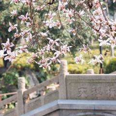 麥當勞（常州西瀛裡店）張用戶圖片