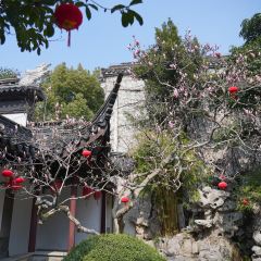 麥當勞（常州西瀛裡店）張用戶圖片