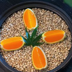 薇廷·精细江浙菜(越城店) User Photo