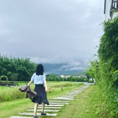 春沐源咖啡厅 User Photo