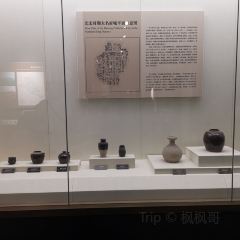 大明府 User Photo