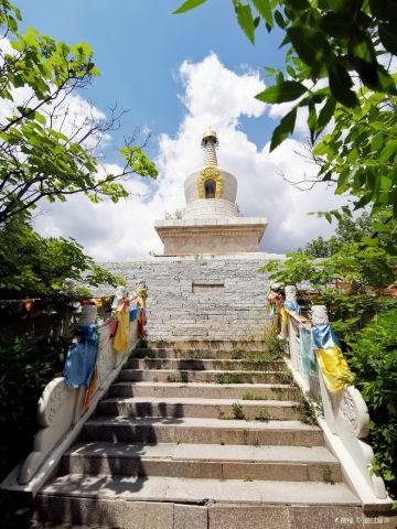 妙因寺
