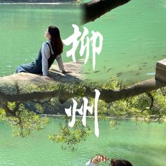 Weiweimushugeng 여행 사진