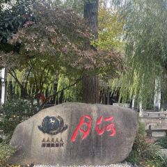 Seeing Tea User Photo