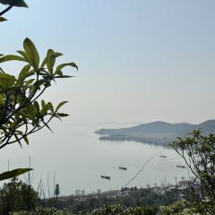 舶来 Coffee·Restaurants(环太湖店) User Photo