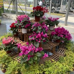 Sanshi Restaurant User Photo