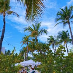 Nikki Beach Miami ảnh của người dùng