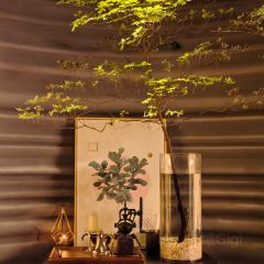 BIANCHI(Pudong Kerry) 여행 사진