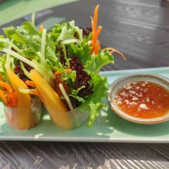 Mango Tree User Photo