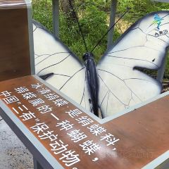 HA JIU HAI User Photo