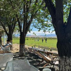 六月瓣咖啡 User Photo