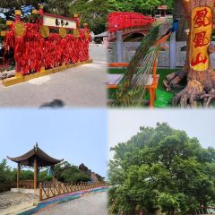 SAN QIAN LI KAO ROU User Photo