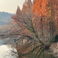 黃栗樹生態美食土菜館張用戶圖片