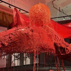 FU QI TUO TUO User Photo