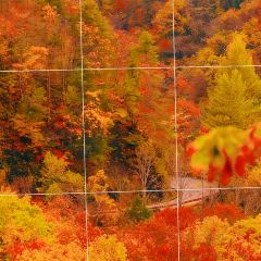 木楼人家老吊锅(神农剧院店) 여행 사진