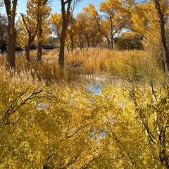 海爾巴格大飯店（喀什店）張用戶圖片