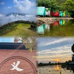 瑶氏醋炒鸡(万达店) User Photo