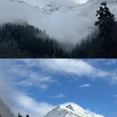 ZA QI ZA BA NIU ZA TANG GUO User Photo