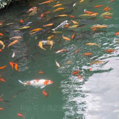 姚记面馆(瑶琳路店) User Photo