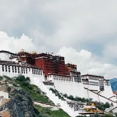 旬食·藏地时令定食(八廓街店) User Photo