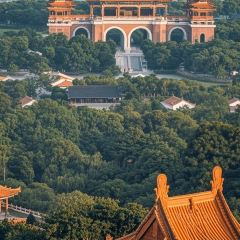 FengCheng ShuangPi Nai User Photo