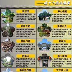 FengCheng ShuangPi Nai User Photo