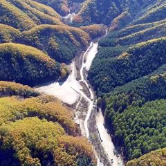 中街吊炉饼鸡蛋糕小吃部 User Photo