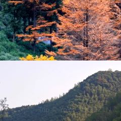 老李家燒烤·安吉網烤（安吉店）張用戶圖片