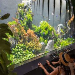 Kishimoto食堂（本店）張用戶圖片