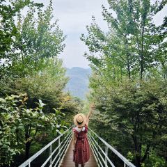 柒月麓山 여행 사진