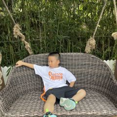 半浮生茶院 User Photo