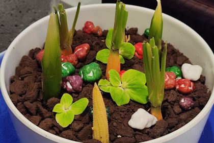 山海经(南海旗舰店)