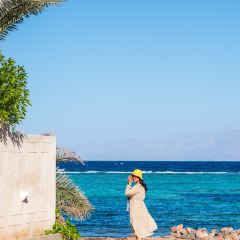Sea Bride User Photo
