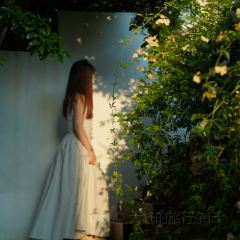 再望书店 User Photo