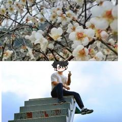 禅龙峡餐厅 User Photo