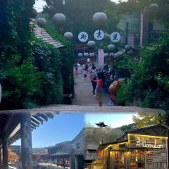 花木栏 User Photo