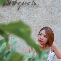 Hide&Seek User Photo