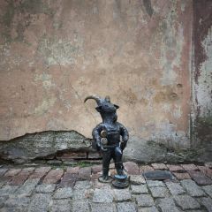 Perliczka User Photo