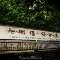 TingYuan Coffee User Photo