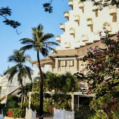 Ohas cafe (Kensington) User Photo