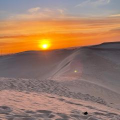 Le Sud User Photo