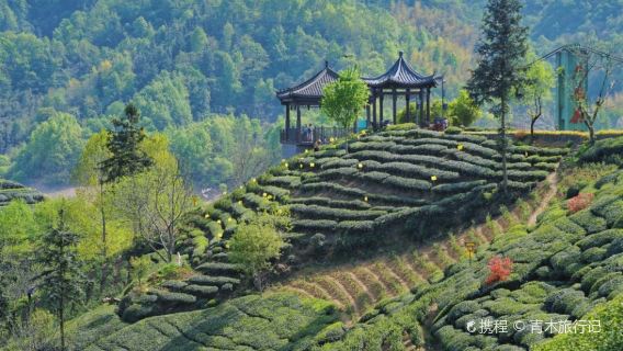 Lu'an West Tea Valley Theme Park