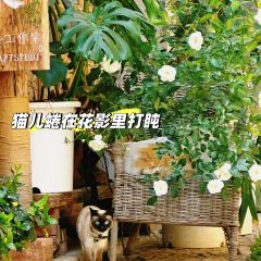 彼得的小馆PetersKitchen User Photo