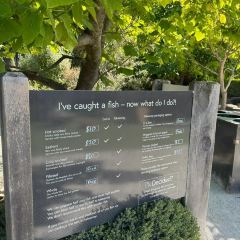 Mount Cook Alpine Salmon張用戶圖片