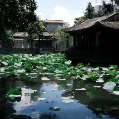 DA RUN LONG YAN ZHA ZHU ROU User Photo